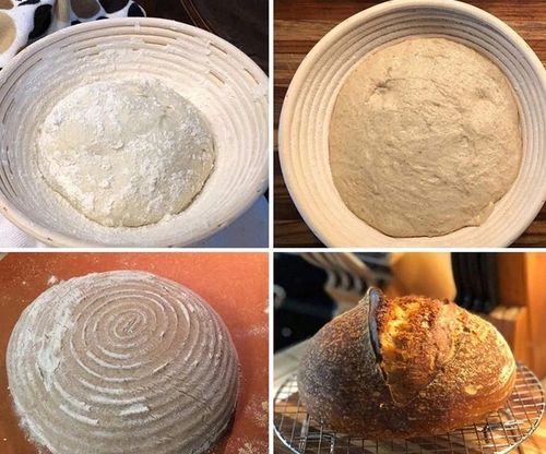 KOSZYK RATAN FORMA DO WYRASTANIA CHLEBA 25 cm garowania ciasta na chleb na Arena.pl