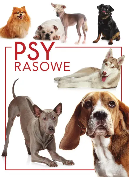 Psy rasowe zdjęcie 2
