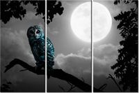 product-compare-58676995