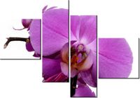 100 70CM OBRAZ 4 ELEM FIOLETOWY STORCZYK DRUK PŁÓTNO RAMA