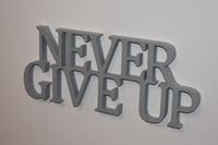 Napis 3D Never give up
