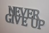 Napis 3D Never give up
