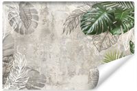 Fototapeta Do Salonu BETON Tropikalne Liście Natura 450cm x 300cm