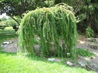 product-compare-63333914