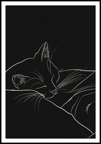 Plakat 67,5x100cm Nocny Spokój na Arena.pl