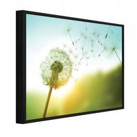 Obraz W Ramie Na Płótnie Do Sypialni Salonu Dmuchawce 120x80