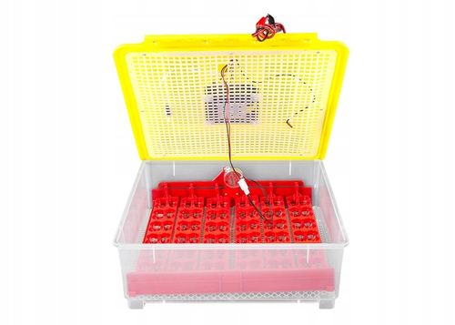 Kompletny zestaw INKUBATOR AUTOMATYCZNY DINO do 56 JAJ DROBIU Różne GATUNKI na Arena.pl