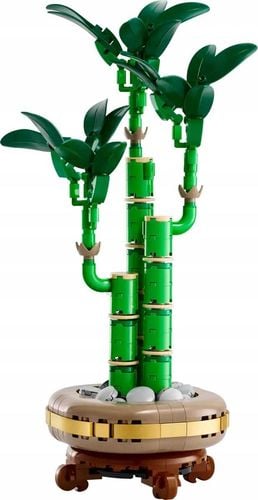 10344 - lego the botanical collection - dracena sandera na Arena.pl
