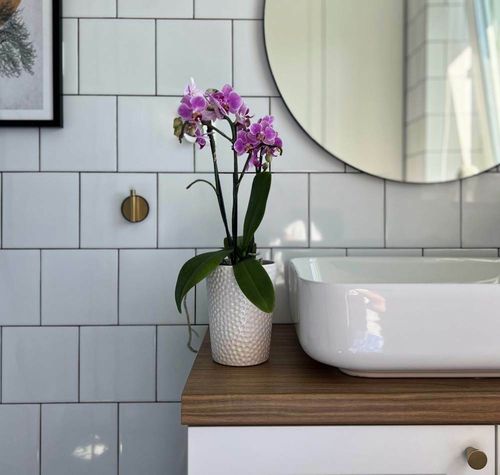 Doniczka ceramiczna osłonka biała do storczyka na Arena.pl