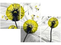 product-compare-58698966