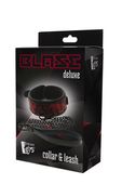 Blaze Deluxe Collar & Leash