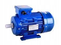 PROMOTOR SILNIK ELEKTRYCZNY TRÓJFAZOWY 0,75kW 2770 OBR/MIN MS 80 1-2 B3