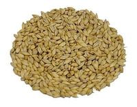 Słód jęczmienny Whisky - wędzony dymem z torfu - 1 kg