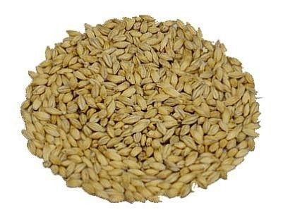 Słód jęczmienny Whisky - wędzony dymem z torfu - 1 kg na Arena.pl