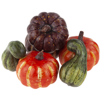 cv23694 sztuczne dynie w worku dynia ozdoba jesienna halloween
