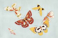 Plakat 60x40cm Butterfly, Sekka Japoński Vintage do Salonu