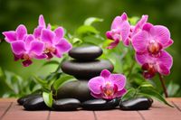 fototapety FOTOTAPETA kwiaty storczyk SPA kamienie