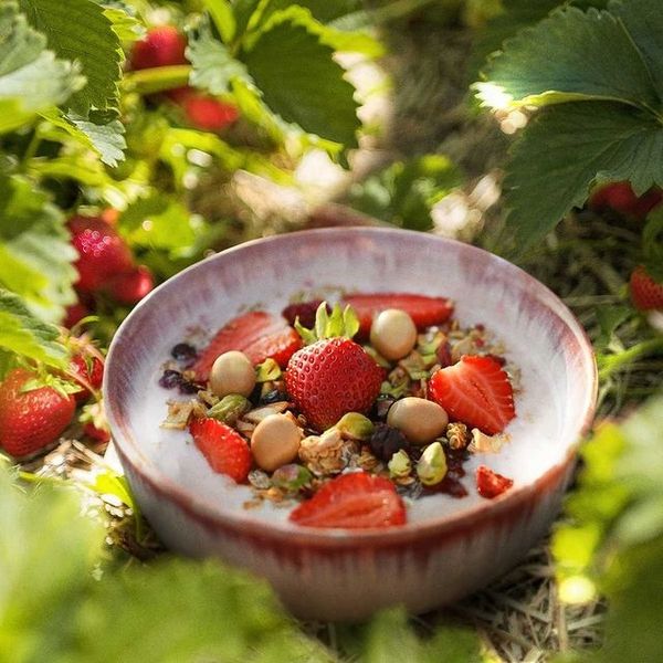 OneDayMore MUSLI CODZIENNE BEZ CUKRU tuba 500g zdjęcie 3
