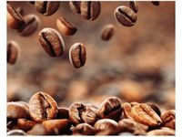 40X50CM PALONE ZŁOTO OBRAZ