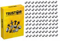 100 SPINKA KOŁEK LISTWY BOCZNEJ DO FIAT DUCATO CITROEN JUMPER PEUGEOT BOXER