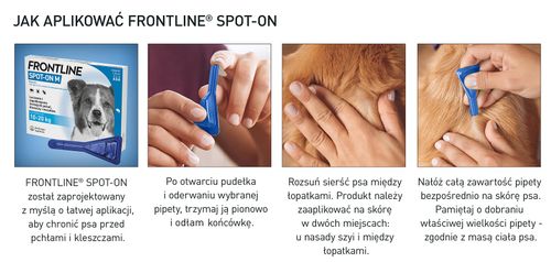 frontline spot on dla psa 3x1,34ml na Arena.pl