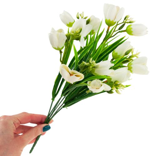 KROKUS BUKIET KROKUSÓW KROKUSY W TRAWIE BIAŁE na Arena.pl