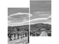 60X60CM WINNICA CZERNI BIELI DWU OBRAZ ŚCIAN