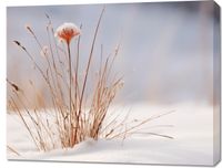 Obraz 90x70cm Zima w Detalach