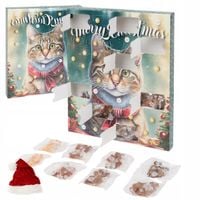 KALENDARZ ADWENTOWY 2024 DLA KOTA ZESTAW NA PREZENT PRZYSMAKI 24 DNI ŚWIĘTA