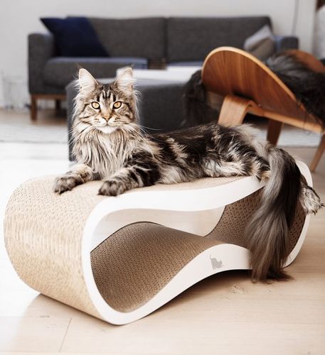 MyKotty Drapak Lui biały na Arena.pl