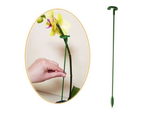 Podpora podpórka do roślin kwiatów storczyków obejma tyczka 37cm na Arena.pl