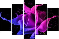 product-compare-58697163