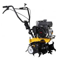 Glebogryzarka spalinowa VEGA VT-30 Loncin 79