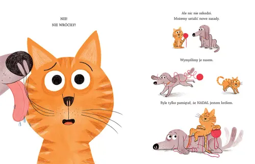 Król Kot na Arena.pl