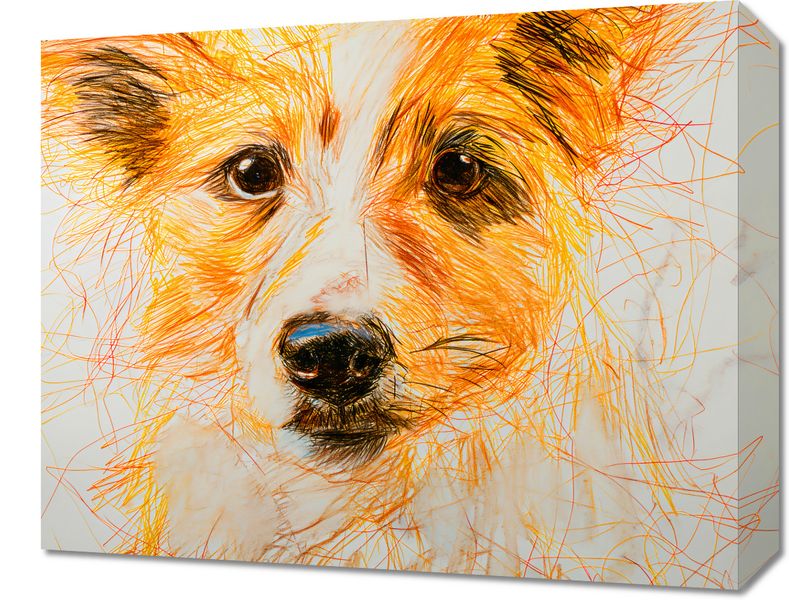 Obraz 50x40cm Uroczy Gość zdjęcie 1