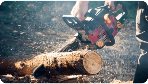 Olej do smarowania łańcucha prowadnic do pił 5L na Arena.pl