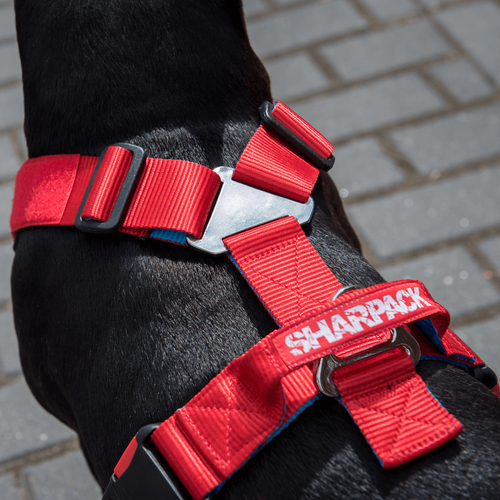 Szelki SHARPACK GUARD rozmiar M czerwone na Arena.pl