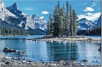 product-compare-58695554