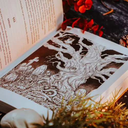 Dunder albo kot z zaświatu. Gra książkowa na Arena.pl