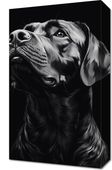 Obraz 30x50cm Portret Zwierząt do Salonu | Labrador | Czarno Białe