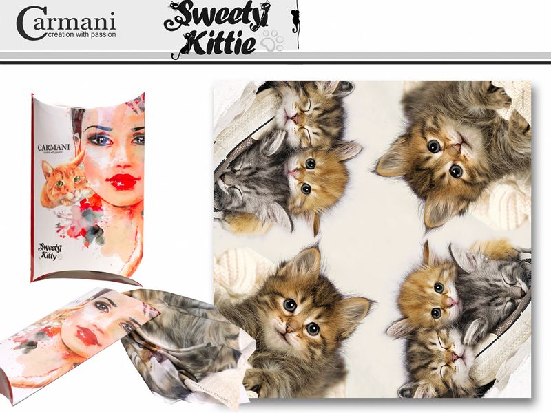 Chusta - koty zdjęcie 1