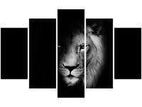 OBRAZ DUCH MROK LEW CIEŃ CZARNO-BIAŁY