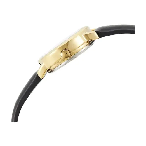 ZEGAREK DAMSKI TIMEX EASY READER Classic T20433 + BOX na Arena.pl