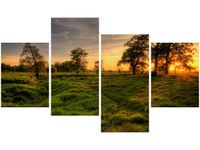 product-compare-58705736