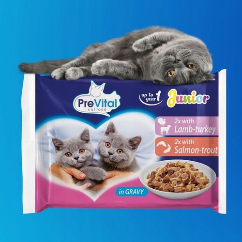 KARMA MOKRA DLA KOTA PREVITAL JUNIOR 52 X 100G SASZETKI DLA KOCIĄT MIX na Arena.pl