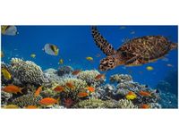 product-compare-58681423