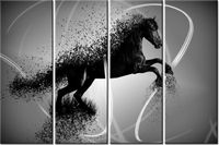 product-compare-58698827