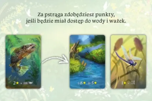 Ekosystem na Arena.pl