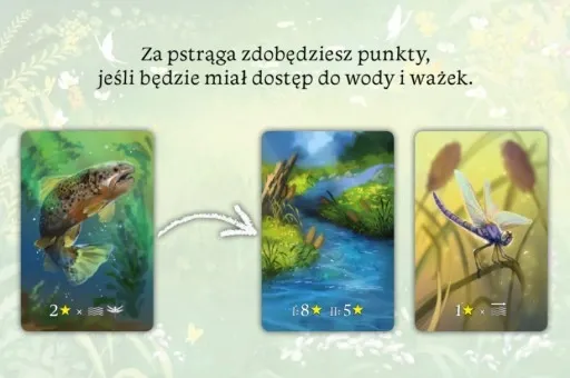 Ekosystem zdjęcie 2