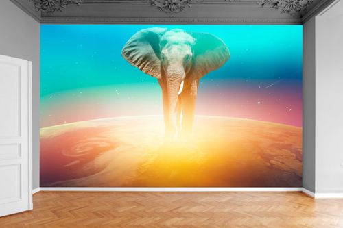 Fototapeta SŁOŃ SPACERUJĄCY PO PLANECIE 300x210 na Arena.pl